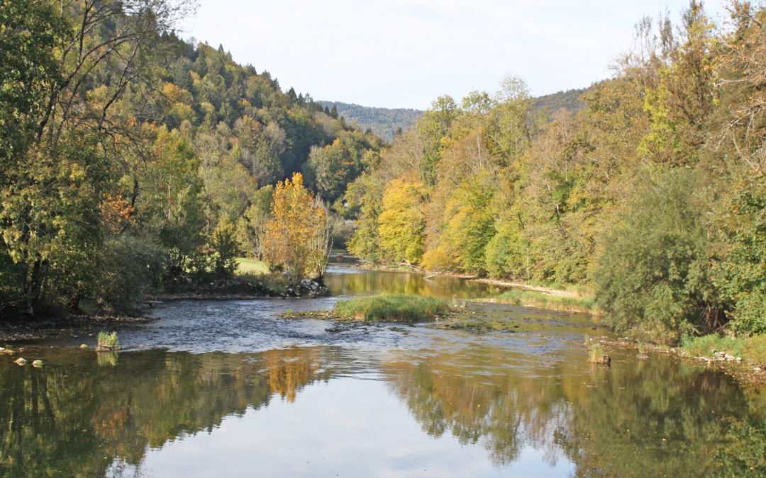 No 115 Des hommes, des femmes et deux parcs – Le Franc-Montagnard